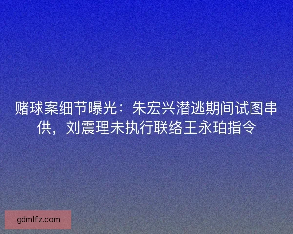 赌球案细节曝光：朱宏兴潜逃期间试图串供，刘震理未执行联络王永珀指令