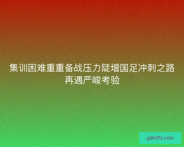 集训困难重重备战压力陡增国足冲刺之路再遇严峻考验